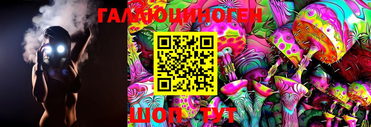 Красногорск  Псилоцибиновые грибы GOLDEN TEACHER  Вход с VPN 